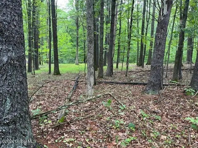 L2.2 Canniff Road, Cairo, NY 12413 - Image #3