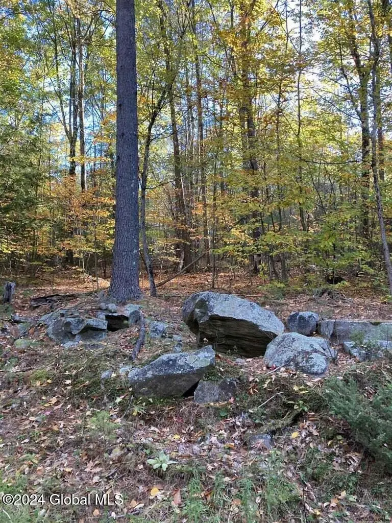 L28 Hall Hill Road, Lake Luzerne, NY 12846 - Image #2