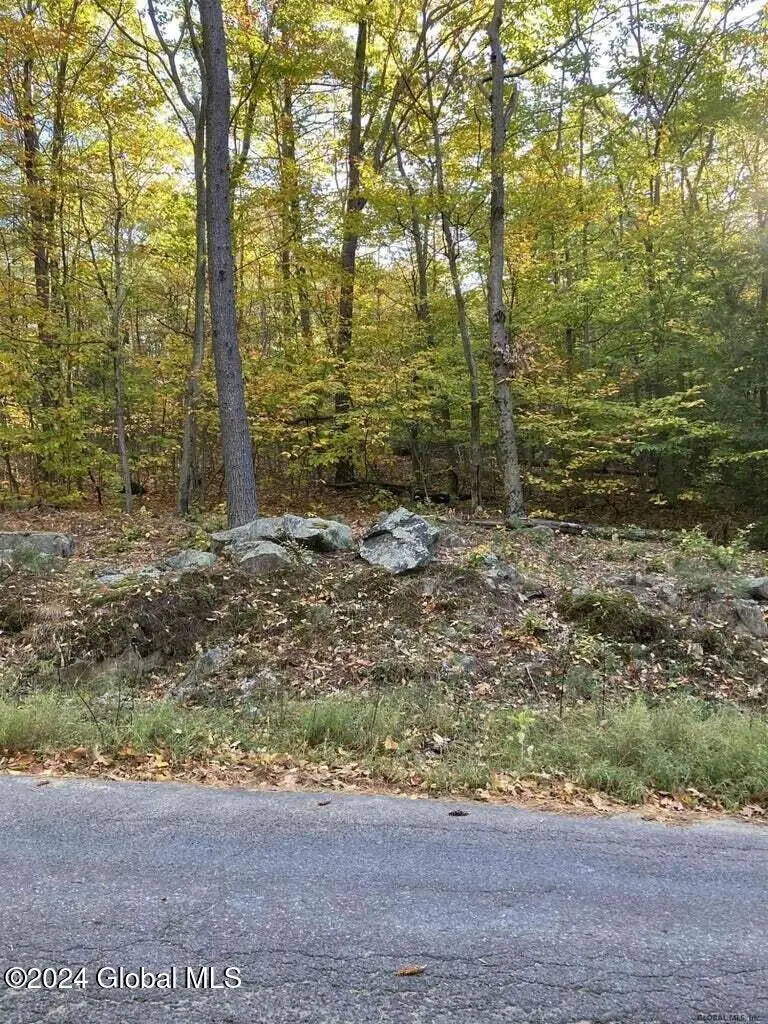 L28 Hall Hill Road, Lake Luzerne, NY 12846 - Image #3