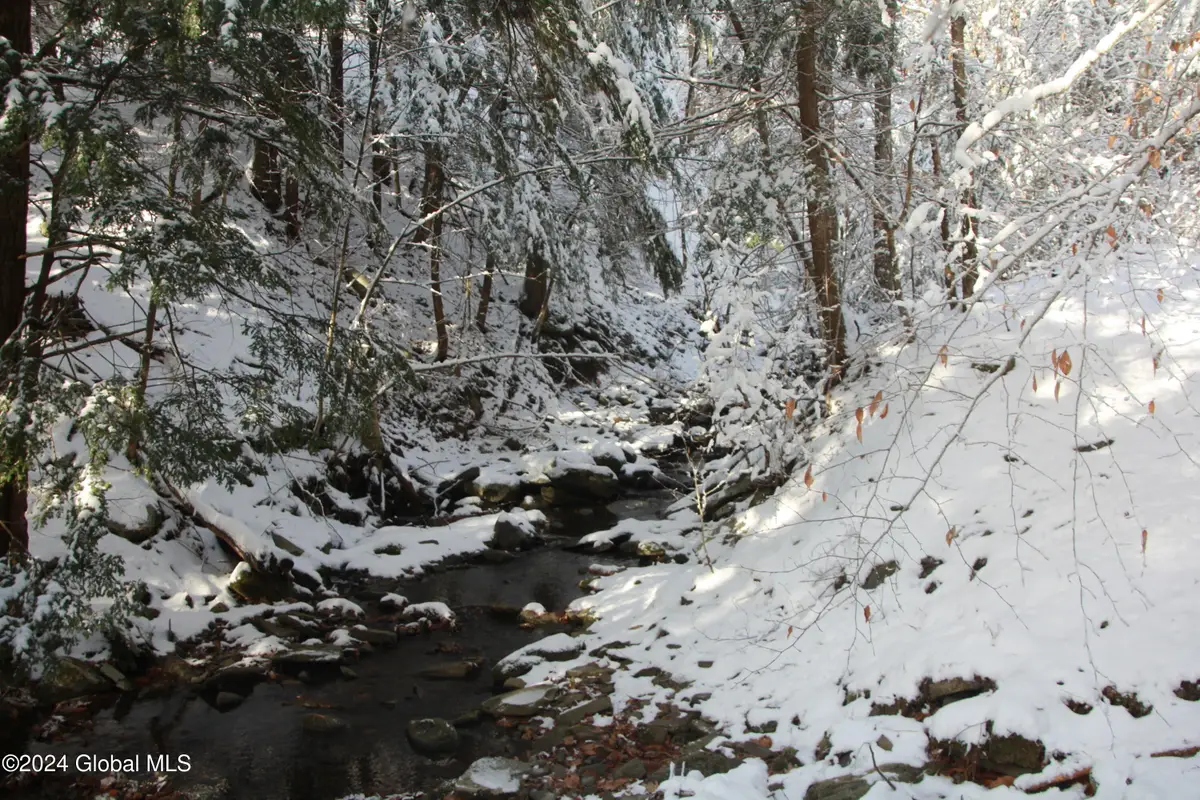 L11 Bassler Road, Middleburgh, NY 12122 - Image #1