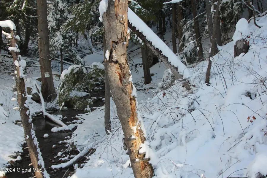 L11 Bassler Road, Middleburgh, NY 12122 - Image #3