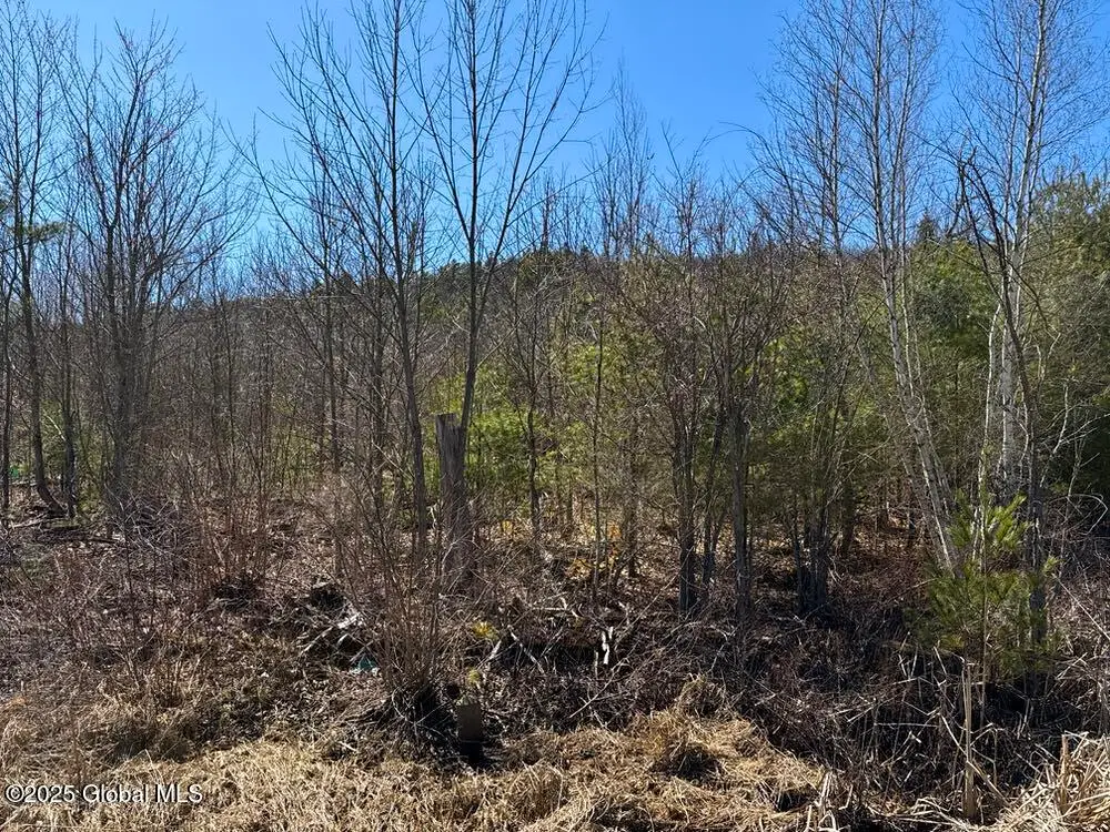 L37.100 Moss Road, Lewis, NY 12950 - Image #1