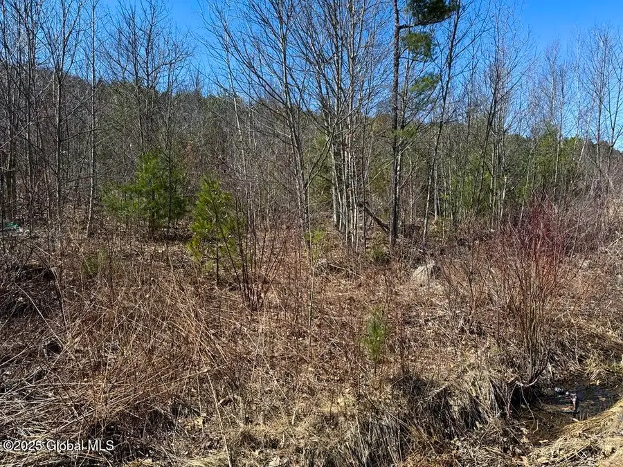 L37.100 Moss Road, Lewis, NY 12950 - Image #2