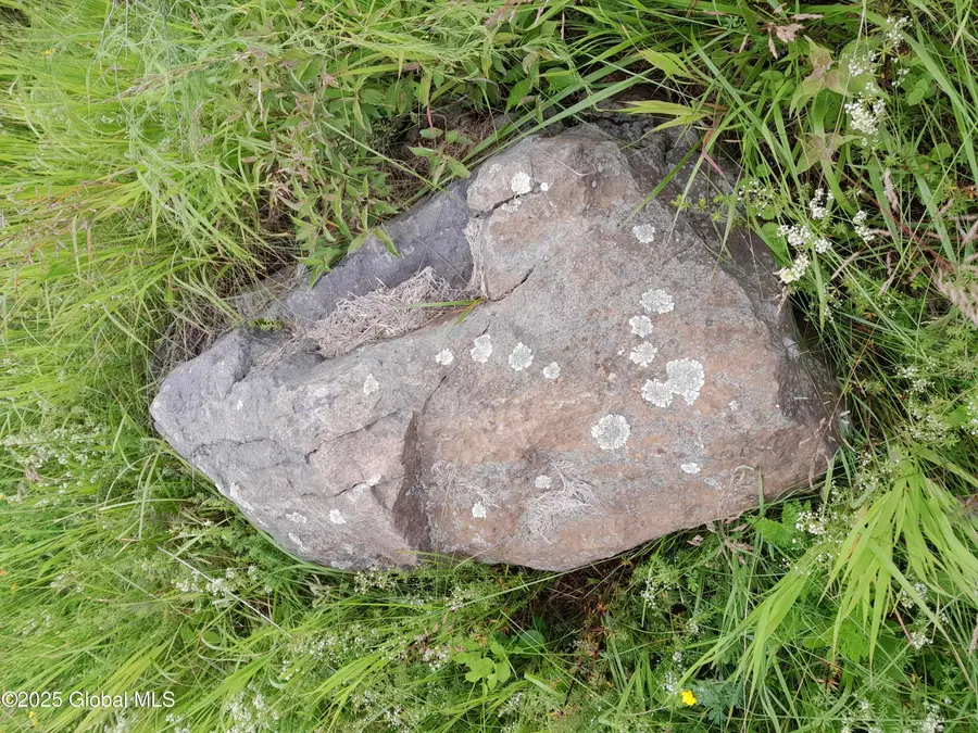 L45 Roberts Hill Rd, West Coxsackie, NY 12192 - Image #3