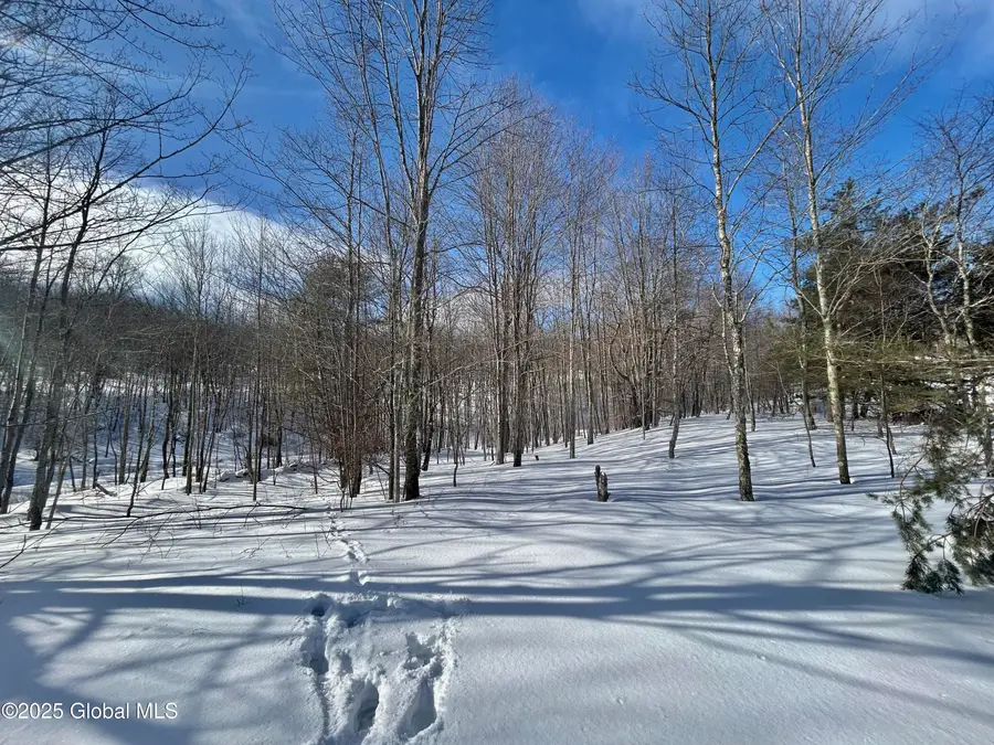 137 Easy Street, Jefferson Town, NY 12167 - Image #3