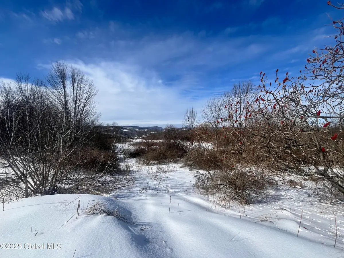 L15.2 Cross Hill Rd, Richmondville, NY 12149 - Image #1