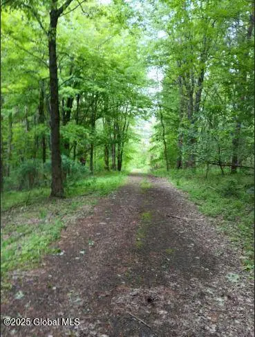 L24.2 Switzer Hill Road, Mohawk, NY 12068 - Image #2