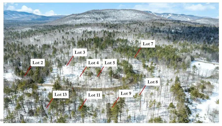 18 Highview Lane #Lot 1, Johnsburg, NY 12886 - Image #2