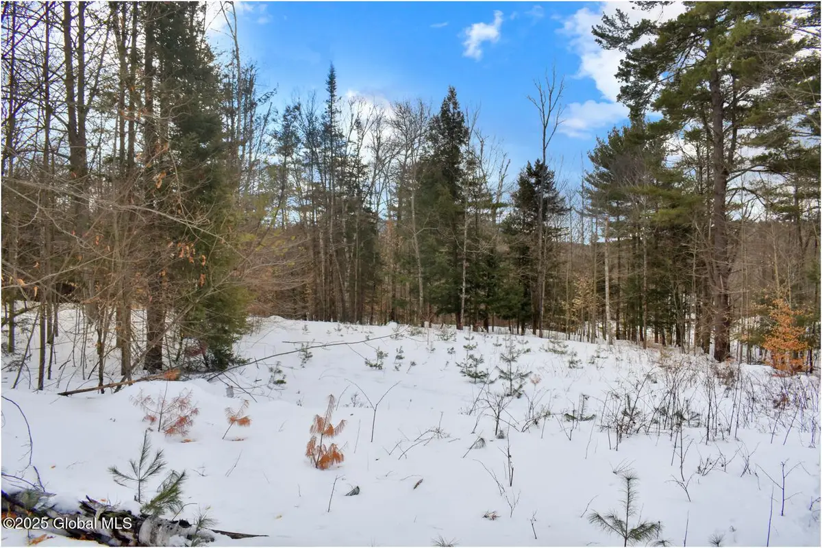 L86 Highview Lane #Lot 2, Johnsburg, NY 12886 - Image #1