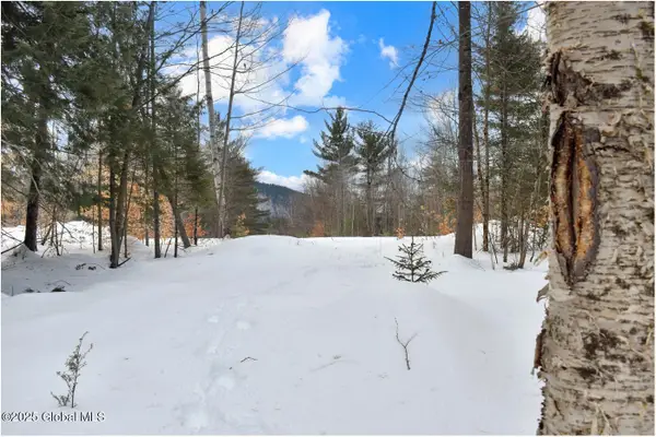 L87 Highview Lane #Lot 3, Johnsburg, NY 12886