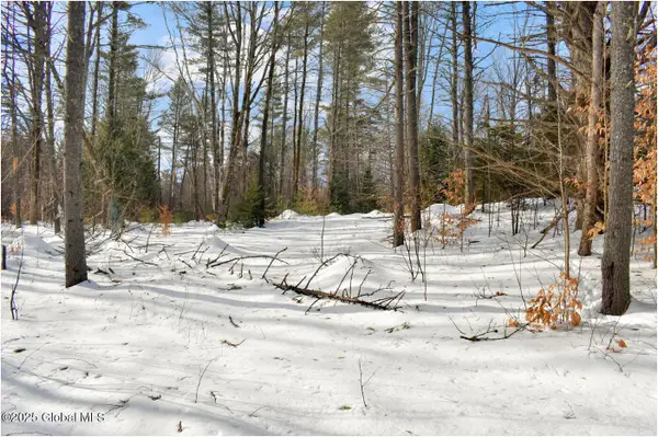 L95 Highview Lane #Lot 11, Johnsburg, NY 12886