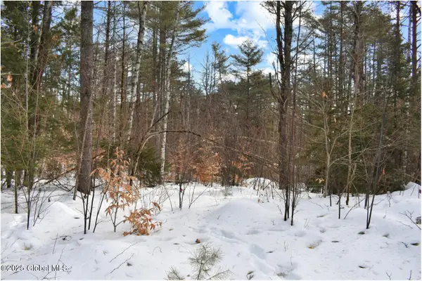 L97 Highview Lane #Lot 13, Johnsburg, NY 12886