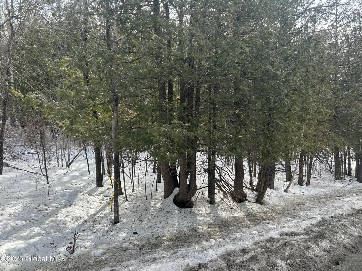 L24.000 Hogback Road, Crown Point, NY 12928 - Image #1