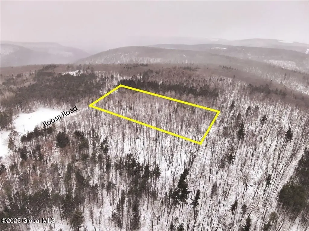 L21.126 Roosa Road, Canisteo, NY 14823 - #1