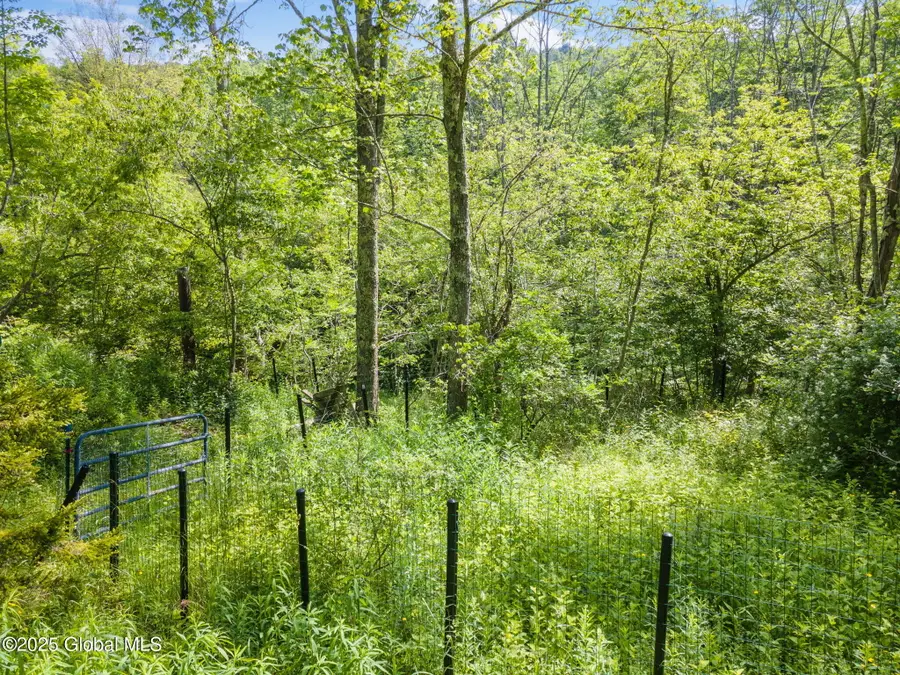 616 Enid Road, Summit, NY 12175 - Image #2