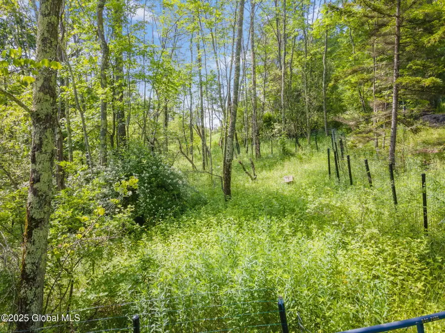 616 Enid Road, Summit, NY 12175 - Image #3