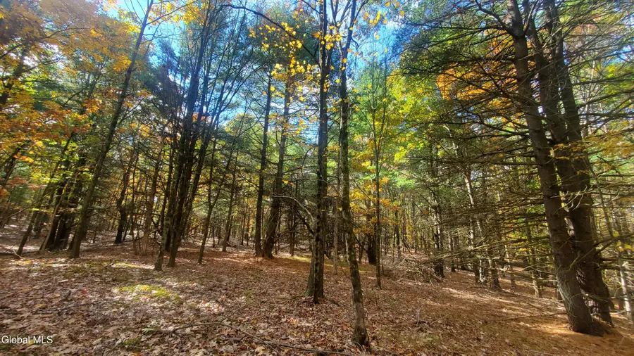 L25 Fischer Road, Kinderhook, NY 12106 - Image #2