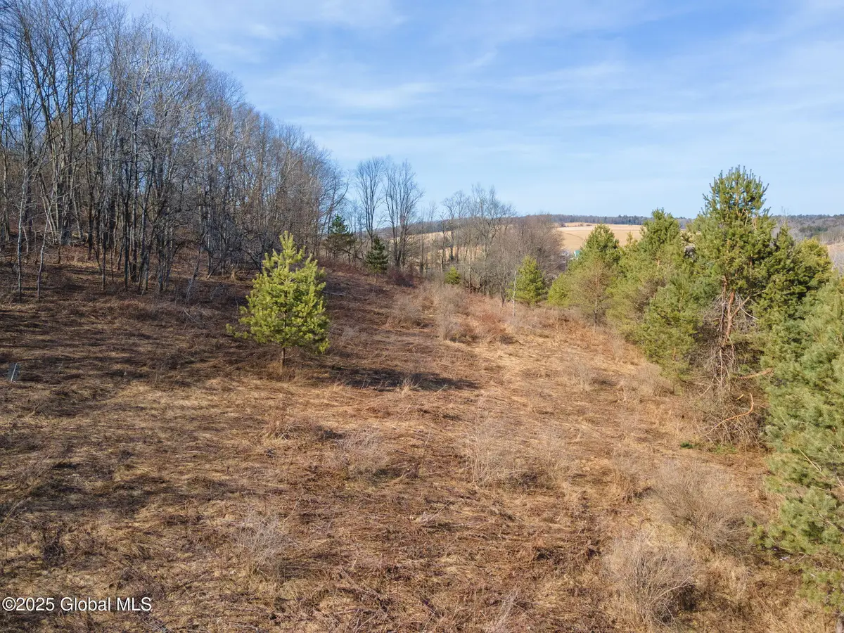 L20.2 Indian Brook Road, Greene, NY 13778 - Image #1