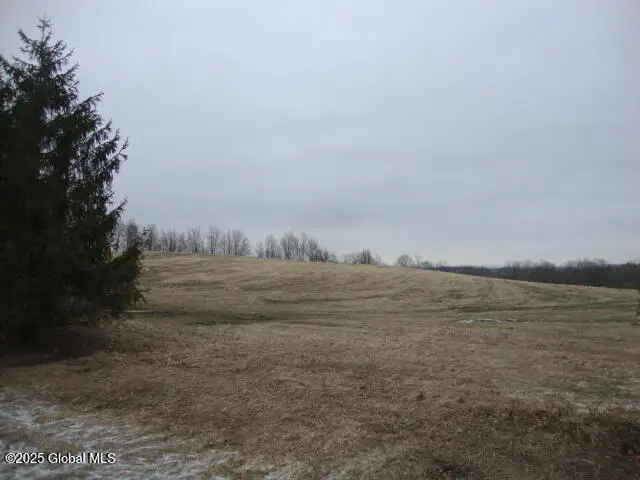 300 Gros Road, Stark, NY 13339 - Image #1