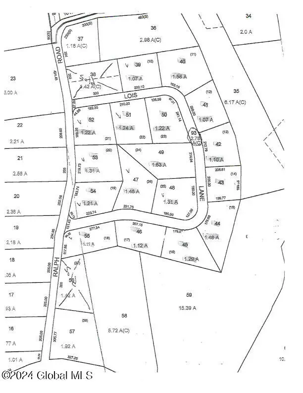 L93 Lois Lane, Lake Luzerne, NY 12846 - Image #2