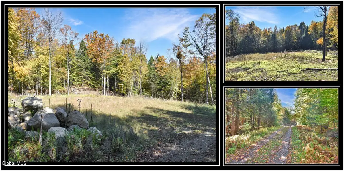 64 Carriage Knolls Road, Chester, NY 12817 - Image #1