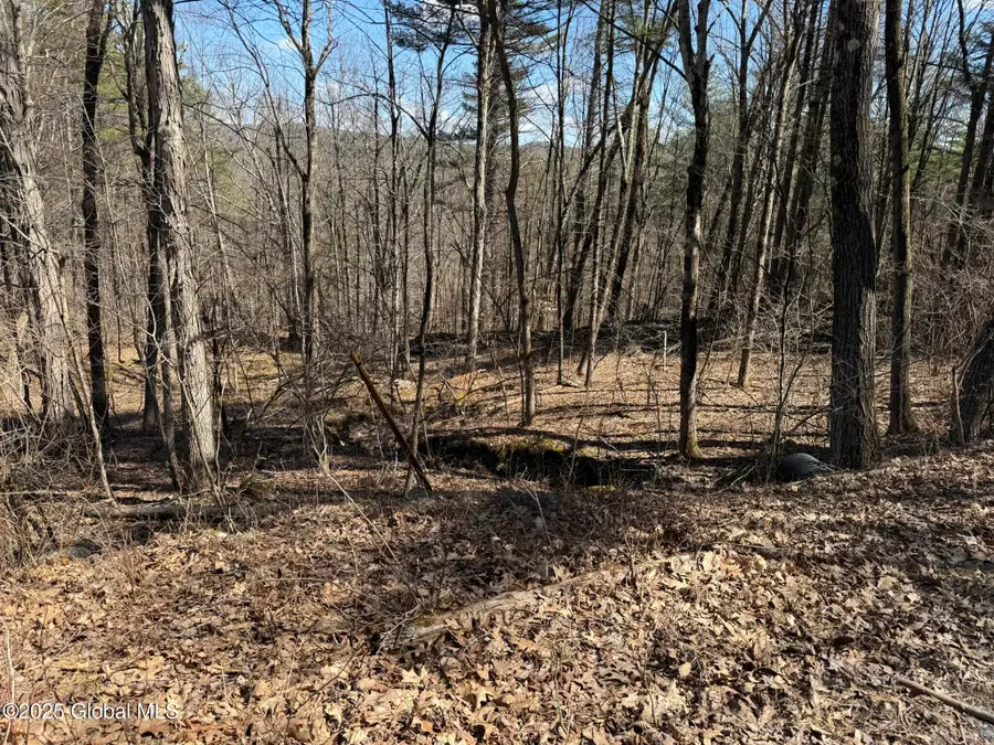 L17.24 Tsatsawassa Lake Road, Nassau Town, NY 12062 - Image #3