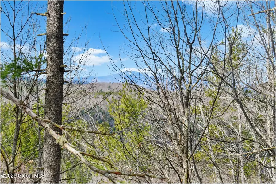 L18 Mountain Meadows Road, Adirondack, NY 12808 - Image #3