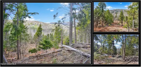 L17 Mountain Meadows Road, Horicon, NY 12860