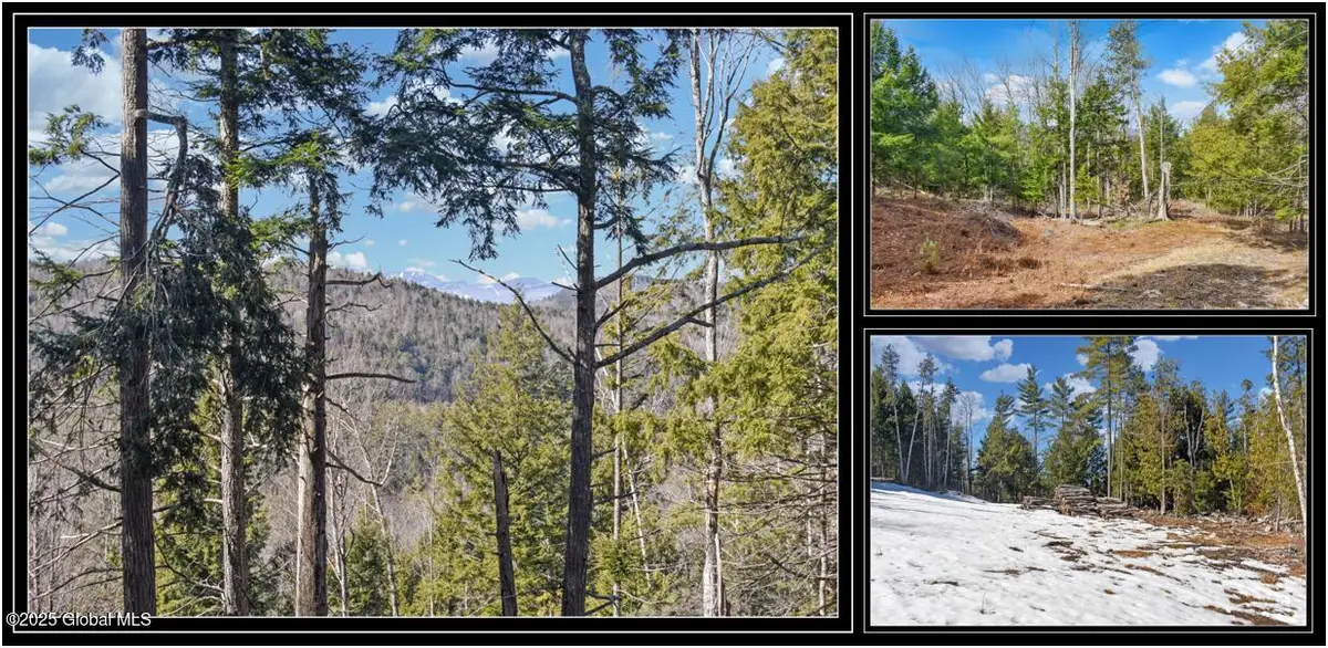 L16 Mountain Meadows Road, Adirondack, NY 12860 - Image #1