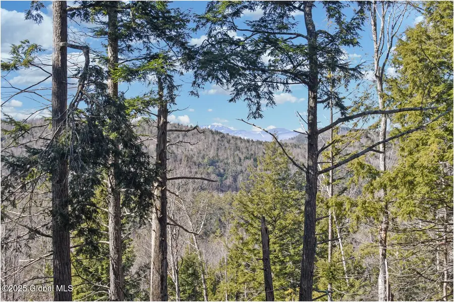 L16 Mountain Meadows Road, Adirondack, NY 12860 - Image #3