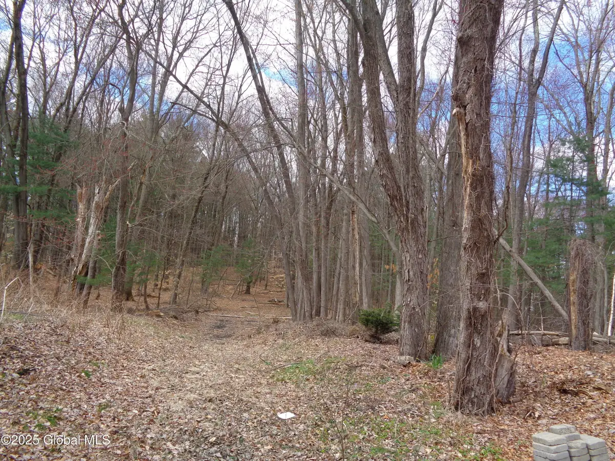 L17.12 Helderberg Avenue, Rotterdam, NY 12306 - Image #1