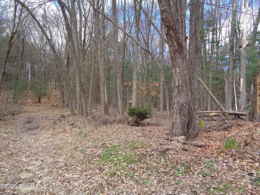 L17.12 Helderberg Avenue, Rotterdam, NY 12306 - Image #2