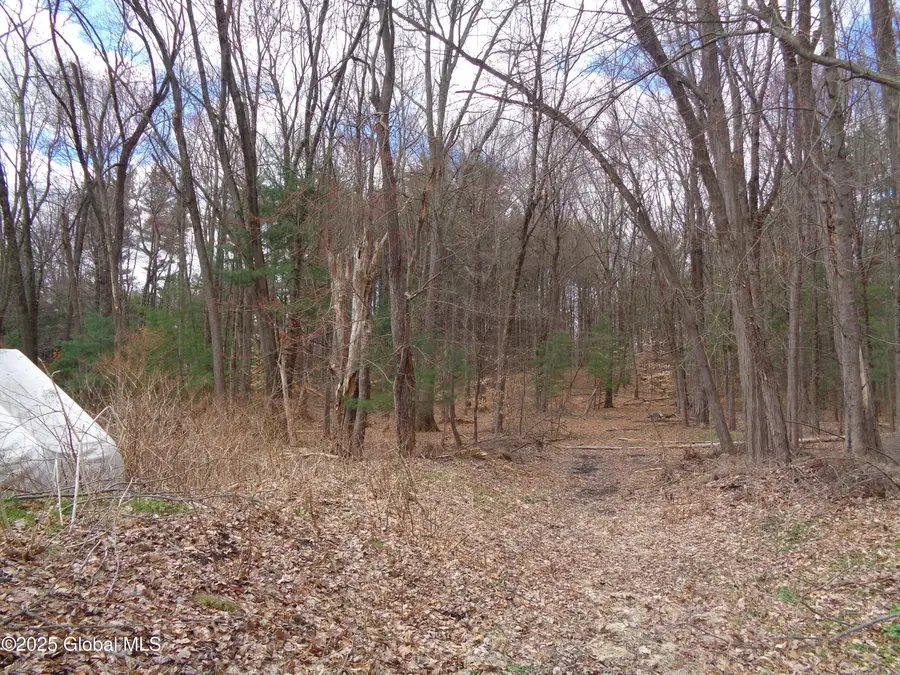 L17.12 Helderberg Avenue, Rotterdam, NY 12306 - Image #3