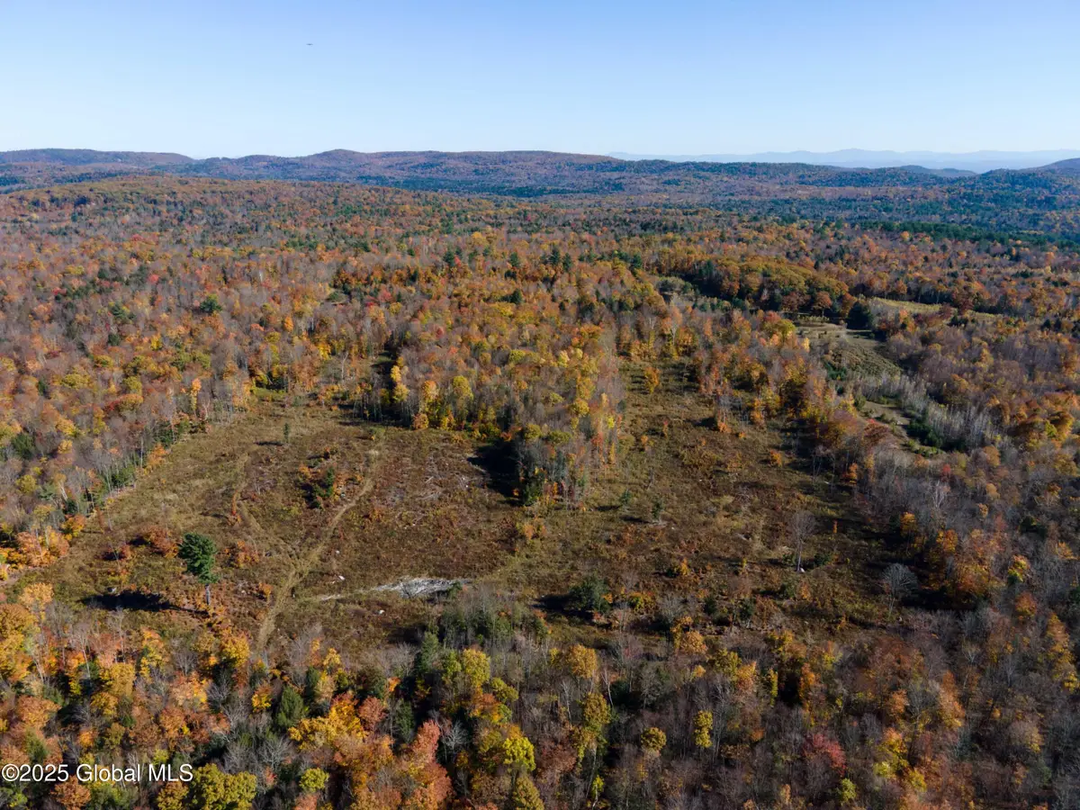 L18 East River Drive, Lake Luzerne, NY 12846 - Image #1