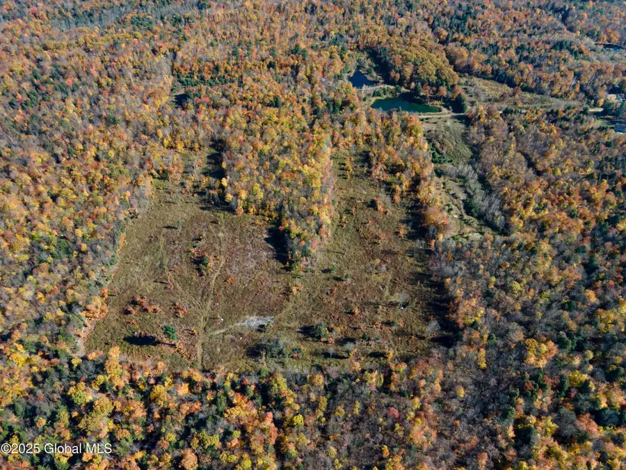 L18 East River Drive, Lake Luzerne, NY 12846 - Image #3