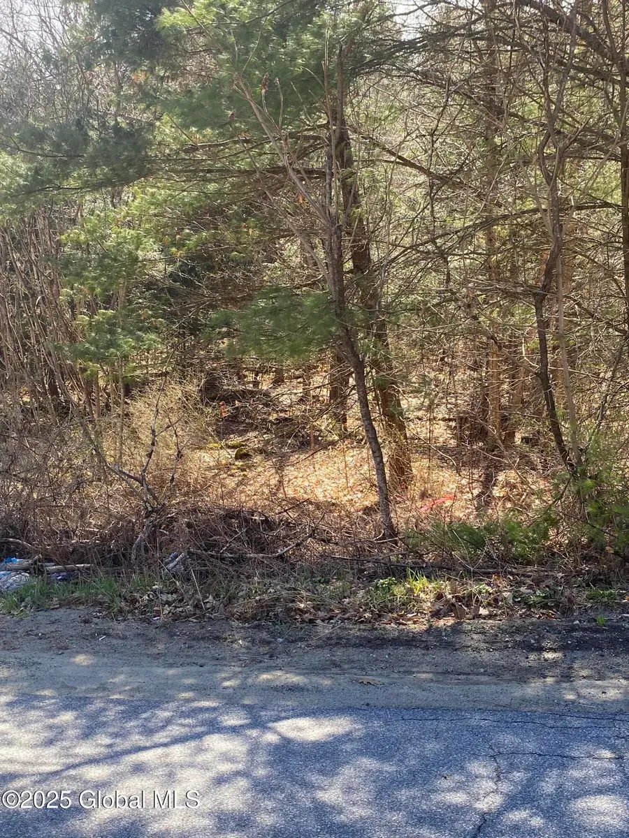 L27 Jenni Jill Dr, Warrensburg, NY 12885 - Image #2