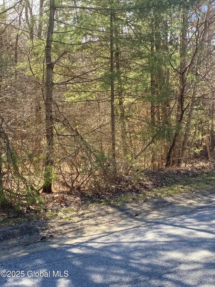 L27 Jenni Jill Dr, Warrensburg, NY 12885 - Image #3