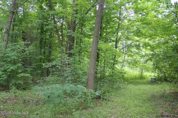 10 Whites Beach Rd Road, Ballston, NY 12019