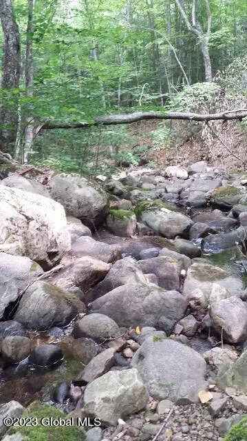 85 Summit Drive, Hague, NY 12836 - Image #2