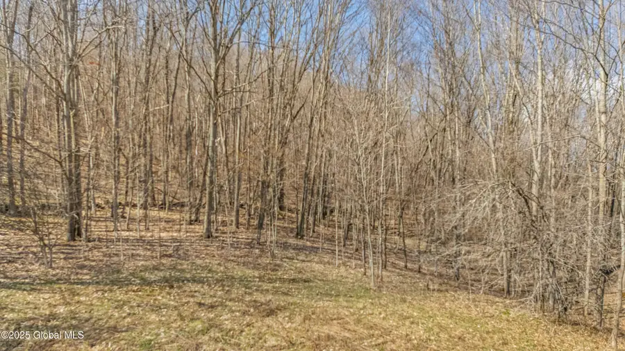 L9.112 Lutheranville Road, Summit, NY 12175 - Image #3
