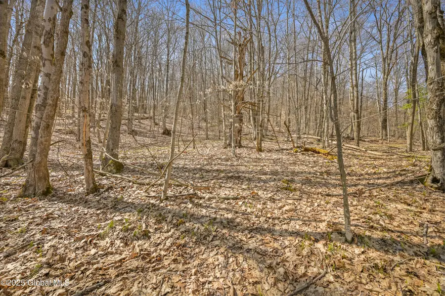 L9.114 Lutheranville Road, Summit, NY 12175 - Image #2