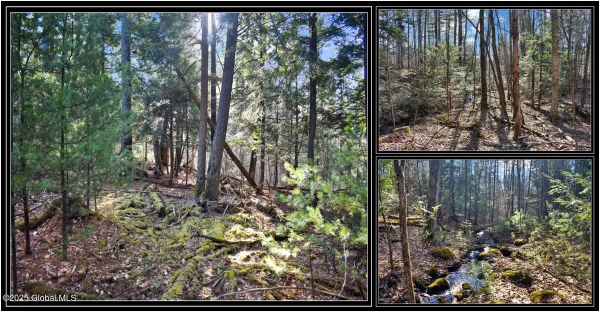 L9 New Hague Road, Hague, NY 12836 - Image #1