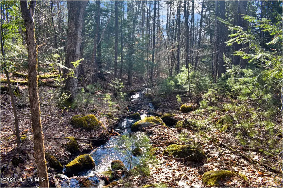 L9 New Hague Road, Hague, NY 12836 - Image #2