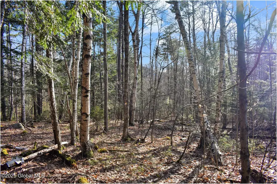 L9 New Hague Road, Hague, NY 12836 - Image #3