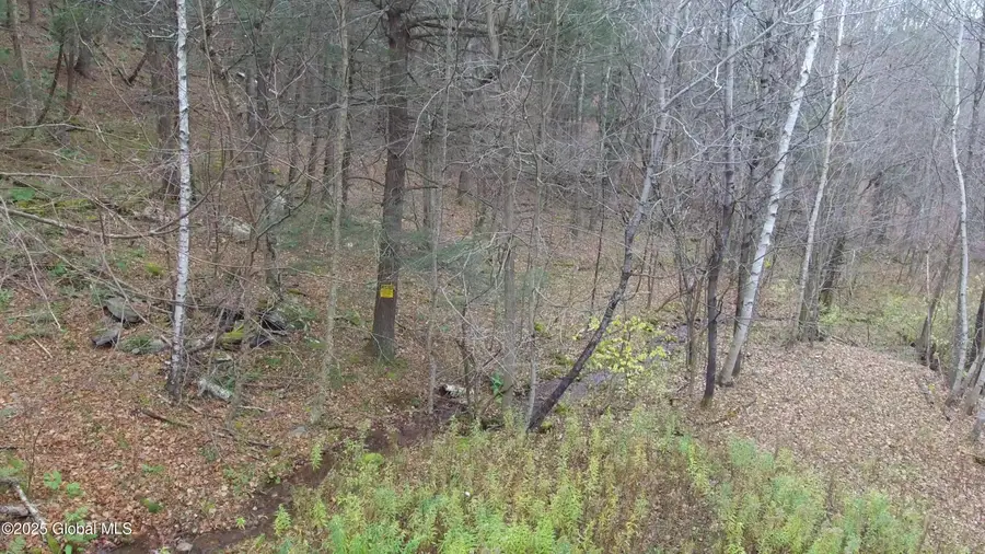 Lot On Mount Eden Estates Road, Lexington, NY 12452 - Image #3