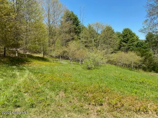 L27.05 County Hwy 40, Worcester, NY 12197 - Image #2