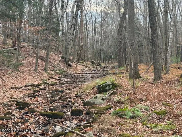 L7.1 Nugent Road, Grafton, NY 12082 - Image #1