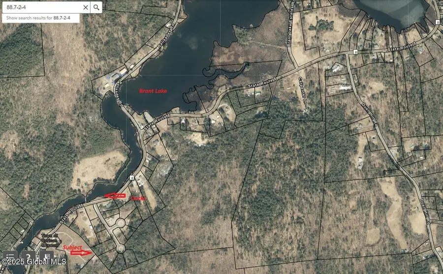 14 Brant Lake Creek Road, Horicon, NY 12815 - Image #3