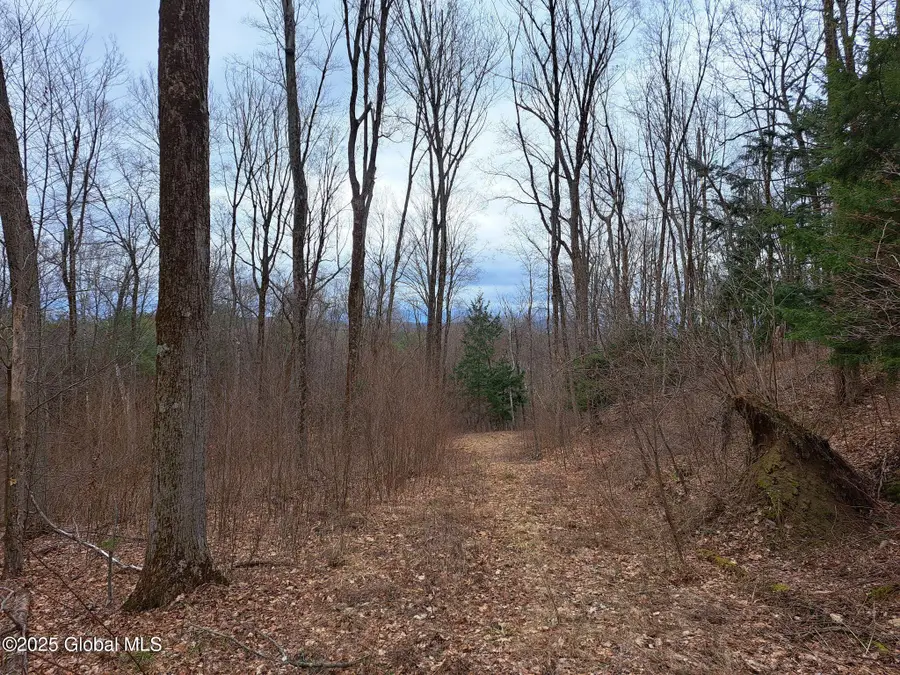 851 Bald Mountain Road, Greenwich, NY 12834 - Image #3