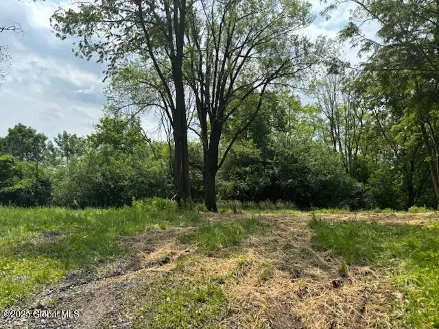 1741 Scotch Ridge Road, Princetown, NY 12056 - Image #1